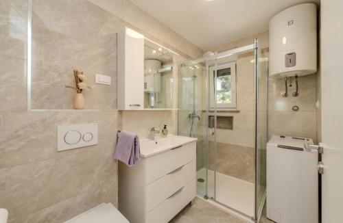 a bathroom with a shower and a toilet and a sink at Villa Oliva Petrcane in Petrcane