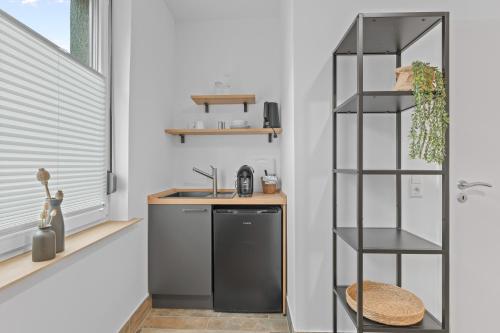 Dapur atau dapur kecil di Apartmenthaus RICLS