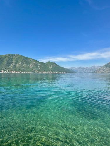 a large body of water with mountains in the background at Apartments Radonicic in Kotor