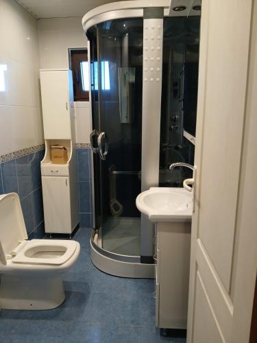 Un baño con ducha, inodoro y lavabo. en Stan na dan, en Smederevo