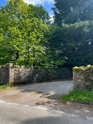 a stone wall and some trees and a tree at Mizzle Cottage in Cloghjordan