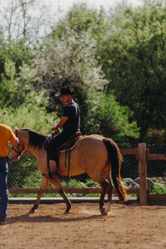 Reiten in der Ferienwohnung oder in der Nähe
