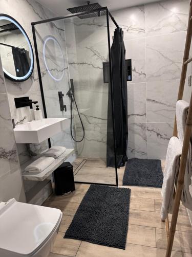 a bathroom with a shower and a sink at Grand logement proche Colmar au calme parking wifi in Wintzenheim