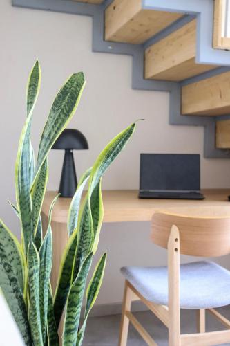 a plant in front of a desk with a chair at Vabel Skiathos in Skiathos Town