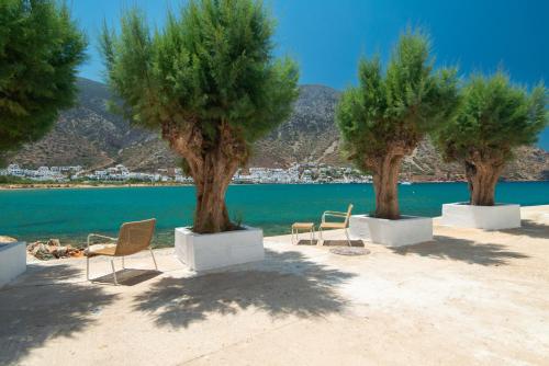 three chairs and trees on a beach with a body of water at BLUE VILLA Sifnos in Kamarai