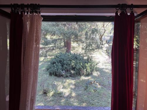 Jardín al aire libre en Ostojino osoje