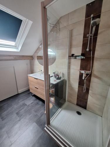 une douche avec une porte vitrée dans une salle de bain dans l'établissement Appartement cosy duplex Vichy, à Vichy