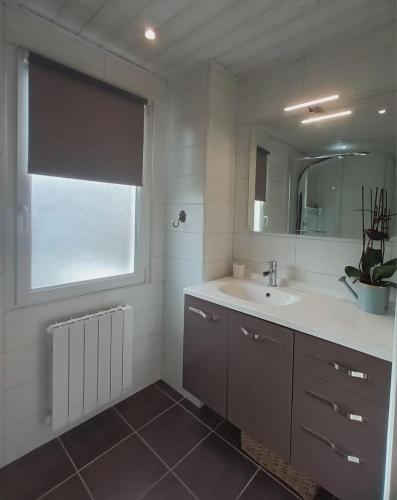 une salle de bain avec un lavabo et un miroir dans l'établissement La maison aux lilas, à Encausse-les-Thermes