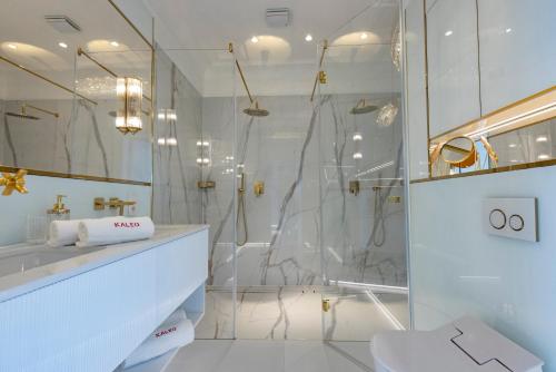 a white bathroom with a shower and a toilet at HANZA TOWER GOLD 19th Floor in Szczecin