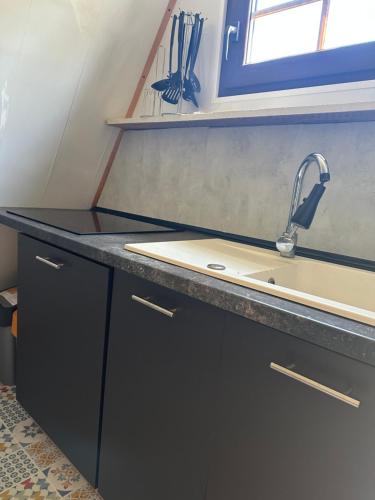 a kitchen with a sink and a counter top at Siedlisko Kępina Zdrój in Ostrów