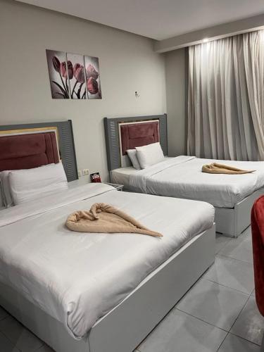 Scandic سكاندك