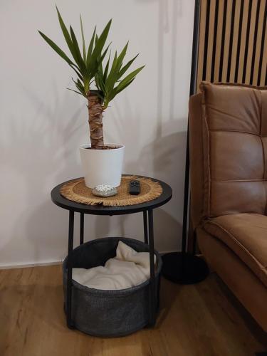 a table with a plant on it next to a chair at Ferienwohnung Toni in Memmingen