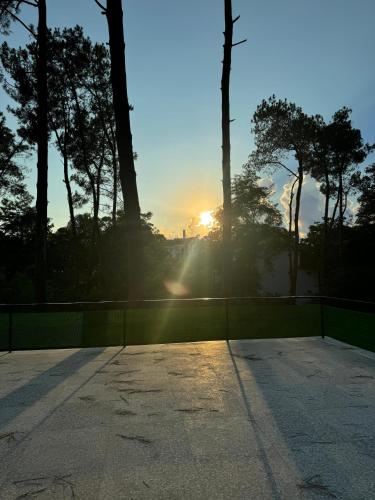 Una puesta de sol sobre una cancha de tenis con árboles al fondo. en MyShekvetili, en Shekhvetili