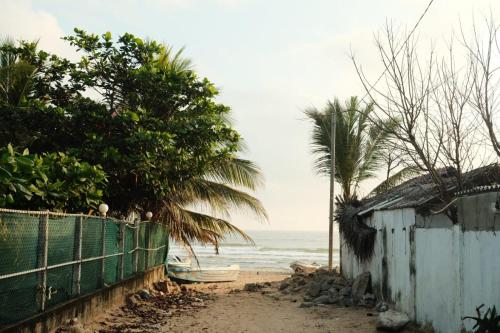 einen Strand mit einem Zaun, einer Palme und dem Meer in der Unterkunft Koala Backpackers in Trincomalee