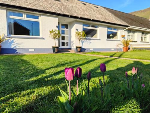 ein Haus mit rosa Tulpen im Hof in der Unterkunft Molly's Cottage in Glenariff