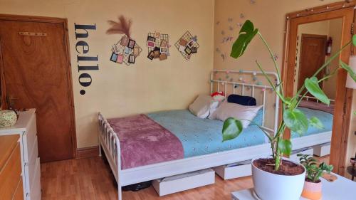 伦敦Cozy En-Suite Studio - Bright, Central & Green的一间带床和盆栽的卧室