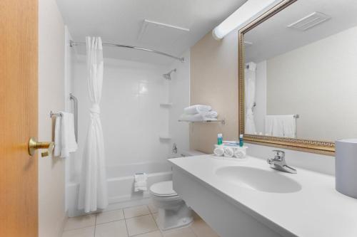 a bathroom with a sink and a toilet and a mirror at Holiday Inn Express Chicago-Downers Grove by IHG in Downers Grove