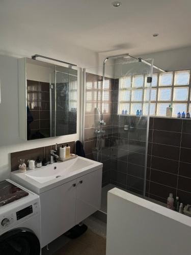 une salle de bain avec douche et lavabo et une machine à laver dans l'établissement Appartement canal saint Martin, à Paris