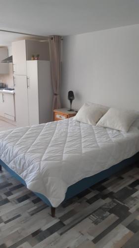 Cette chambre comprend un grand lit et une cuisine. dans l'établissement Studio à Ban de Sapt, à Ban-de-Sapt