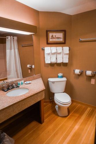 a bathroom with a toilet and a sink at Mill Falls Resort Collection at the Lake in Meredith