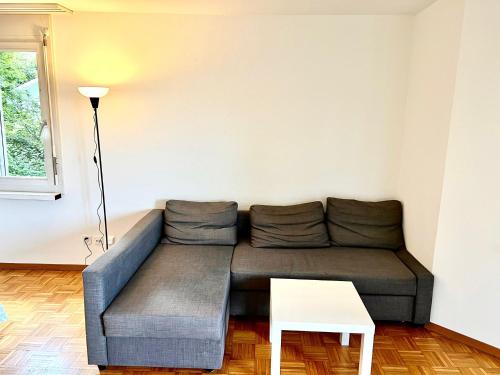 a living room with a couch and a table at Large Flats, Zurich Lake HWA - Self Checkin in Zürich