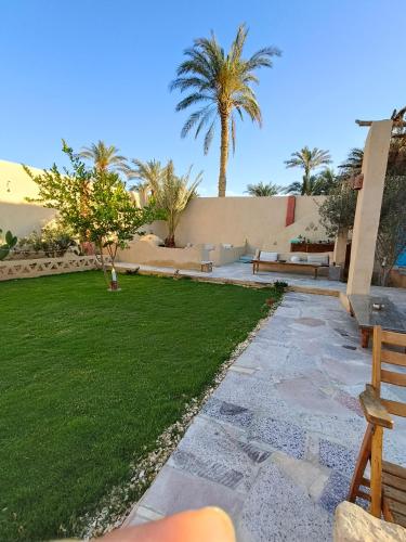 a garden with benches and a lawn with palm trees at Motel moon in Tunis