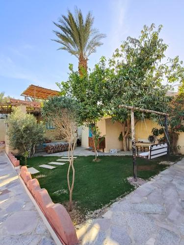 a garden with a swing and trees in front of a house at Motel moon in Tunis