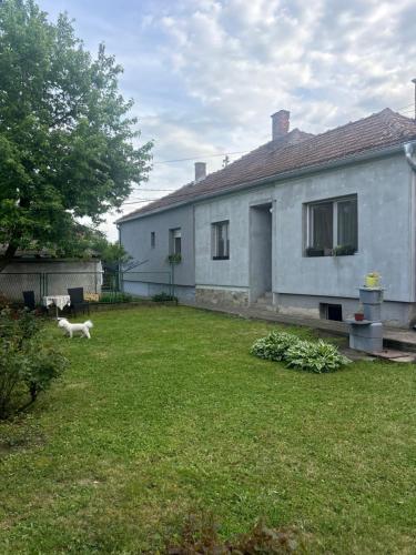a white house with a dog walking in the yard at Sweet home Jagodina in Jagodina