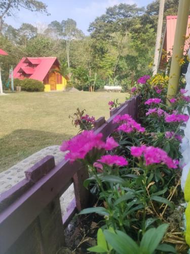 a garden with pink flowers on a fence at Cabañas San miguel Cachipay - Colombia in Cachipay