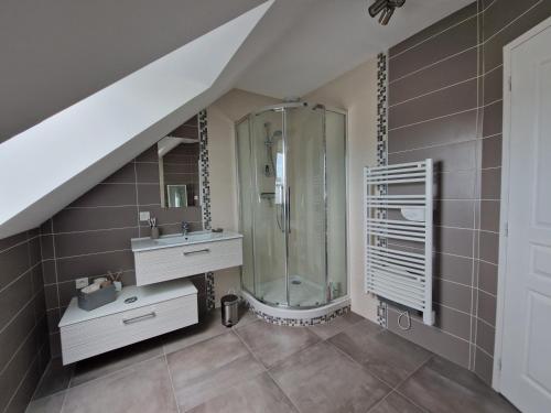 une salle de bain avec douche et lavabo dans l'établissement Chambre chez l'habitant pour les 24h auto, à Mulsanne