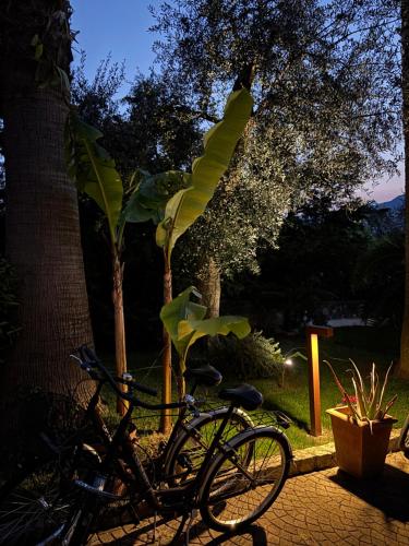 a bike parked next to a tree in a yard at B&B Casa Benamati by Kelly in Malcesine