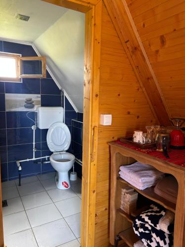 a bathroom with a toilet in a wooden house at Smaka Brvnare in Sjenica