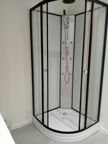 une douche avec une cabine en verre dans une salle de bain dans l'établissement Appartement familial en centre ville, à Villedieu-les-Poêles