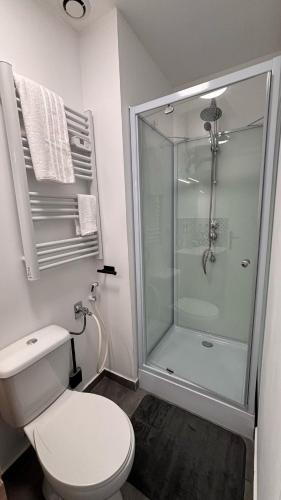une salle de bain avec toilettes et douche en verre dans l'établissement Studio cosy hyper centre, à Agen