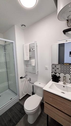 une salle de bain avec toilettes, lavabo et douche dans l'établissement Studio cosy hyper centre, à Agen
