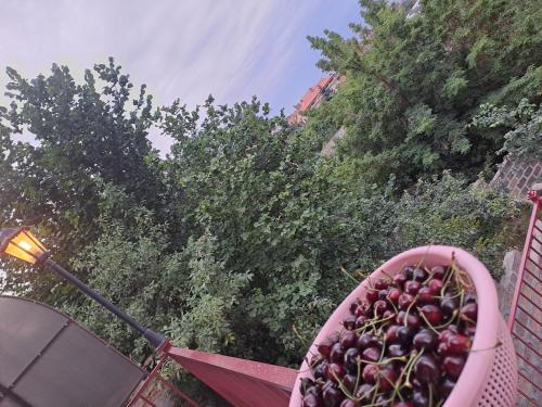 a basket of cherries sitting on top of a fence at Hill Station in Yerevan