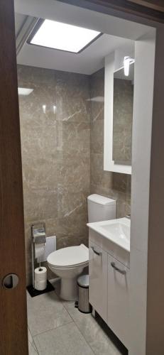 a bathroom with a toilet and a sink at Arijela - hiška v Čatežu 6-1 - Oaza sprostitve v Termah Čatež in Brežice