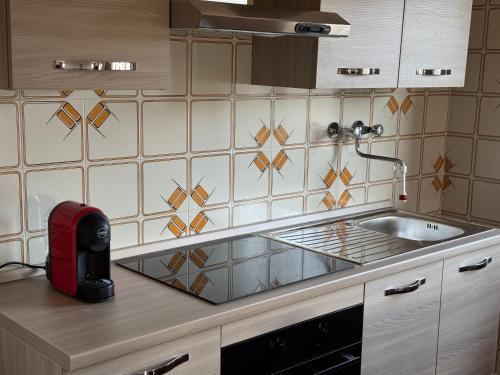 a kitchen with a sink and a counter top at Gold Cave casa vacanze relax nel bosco appartamenti in Pessinetto