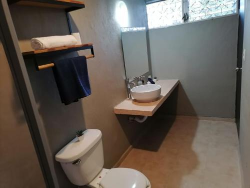 a bathroom with a toilet and a sink and a mirror at Casa Rafaelita in Mérida