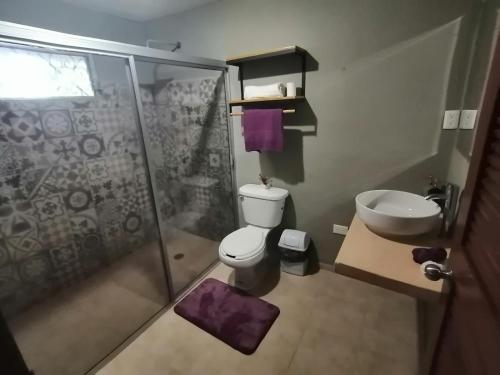 a bathroom with a shower and a toilet and a sink at Casa Rafaelita in Mérida