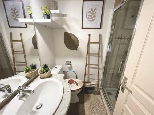 a bathroom with a sink and a toilet and a shower at AppartZen proche Cité de Carcassonne et lac de la Cavayère in Trèbes