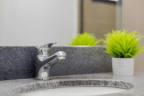 a bathroom sink with a faucet and two plants at Apartamentos modernos próximo ao Jardim Botanico e à Rodoviária in Curitiba