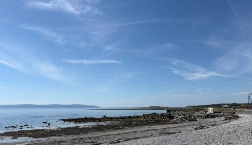 a beach with a group of birds on the shore at Seaside Garden Sanctuary Apartment in Galway