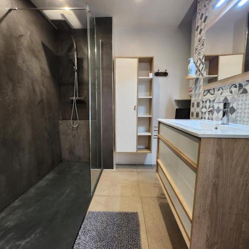 une salle de bain avec douche et lavabo dans l'établissement Charmant appartement au calme à proximité du Port, de la vieille ville de Nice , de la Promenade des Anglais, à Nice