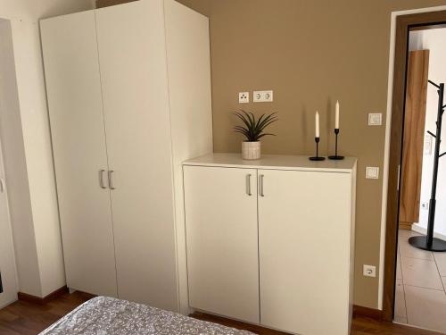 a bedroom with white cabinets and a potted plant at Ferienwohnung direkt am See in Kalkar