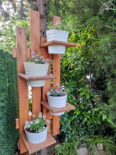 a wooden ladder with four pots of plants on it at Vikendica Drinski mir in Loznica
