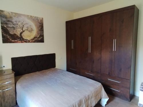 a bedroom with a bed and a large wooden cabinet at Casa com 01 qto 42m2 in Poços de Caldas