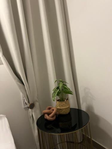 a plant on a table in front of a curtain at ALTHEA luxury suites and apartments in Plataria