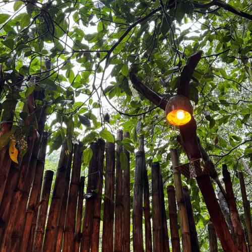 Fotografie z fotogalerie ubytování Cabañas Ecológicas Rincon del Cielo v destinaci La Peña