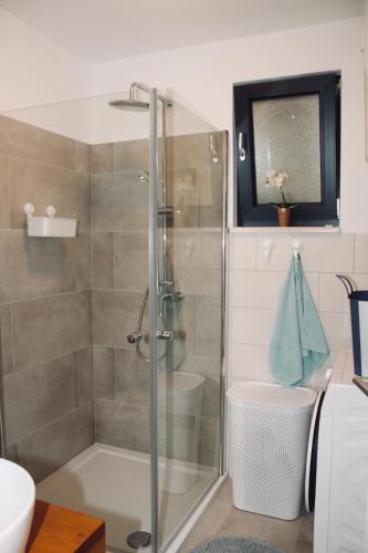 a shower with a glass door in a bathroom at Villa Lando in Peruški